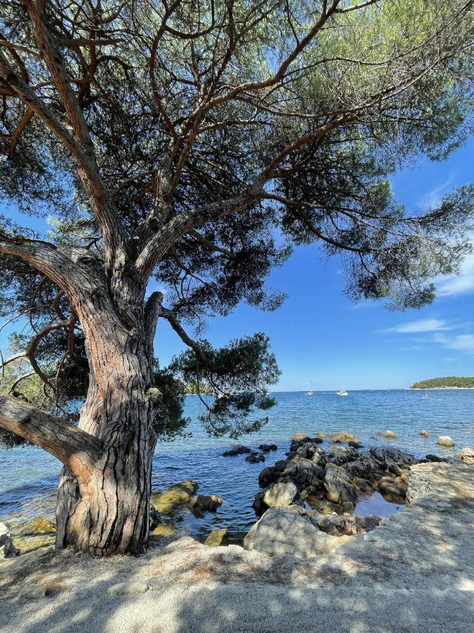 דירות רוביני Clorinda Sea View Free Parking מראה חיצוני תמונה